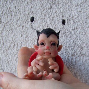 May include: A small, handmade doll with black hair and red and black ladybug wings. The doll is wearing a red and black ladybug costume and has a sweet, innocent expression.