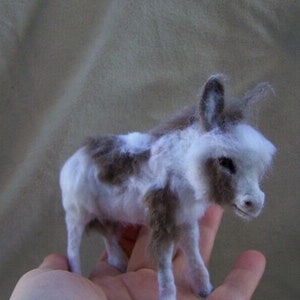 May include: A small, white and brown needle felted donkey figurine. The donkey has a fluffy white mane and tail, and brown patches on its back and legs.