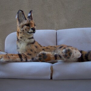 Made to order Ooak Miniature Dollhouse Serval Cat pet by Malga