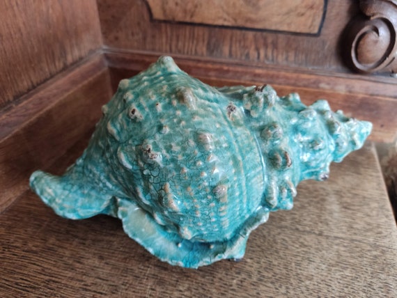 Conch Shell Designs