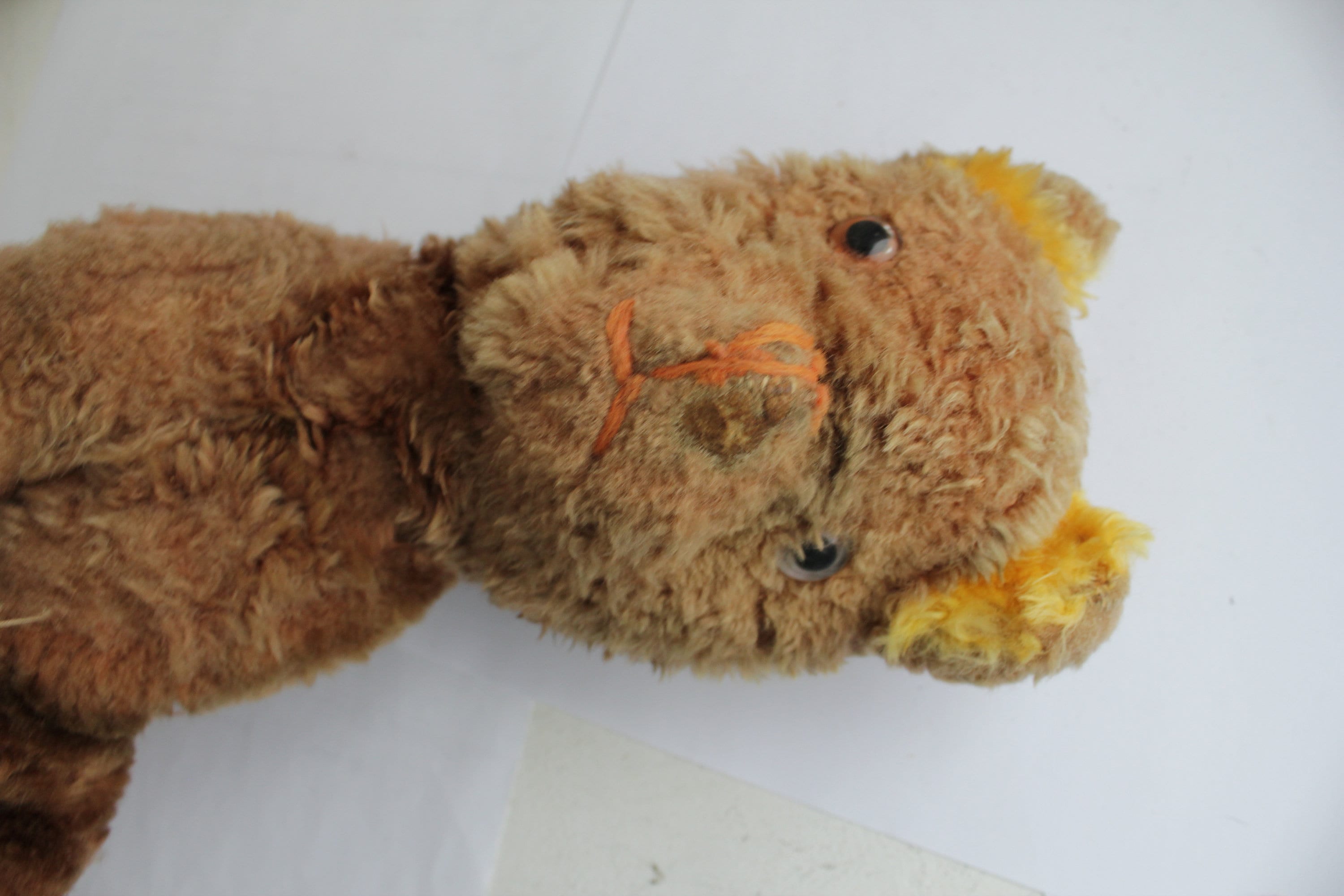 1930s 30s teddy bear - Etsy 日本