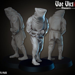 Mysteriöser Prisoner Prisoner RPG Miniatur 3D Resin Gedruckt 28-32 mm Tabletop Fantasy Gaming D&D Pathfinder Frostgrave