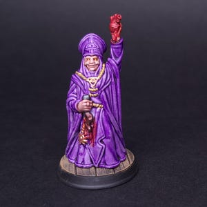 Sacrificer Cultist Ritual NPC painted Dungeons and Dragons Mini RPG Tabletop Miniature DnD Painting Pathfinder 5e DnD gift