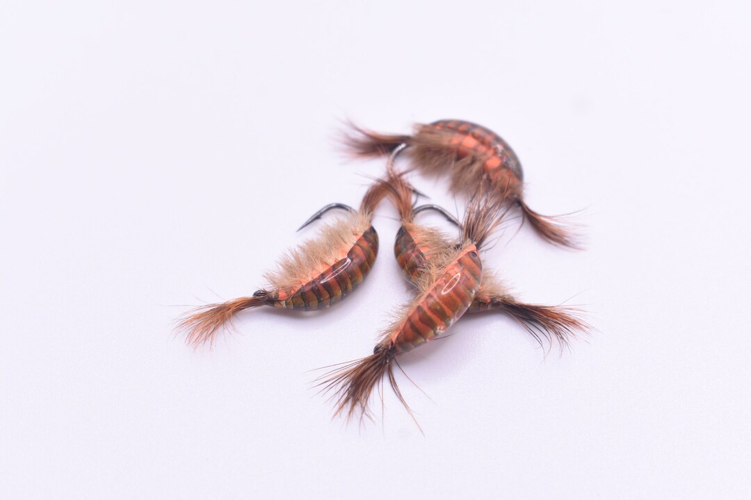 Kenders Tungsten Shrimp Jigs - 5-Pack For Crappie, Bluegill, Perch & Trout (Glow Body) - View #9