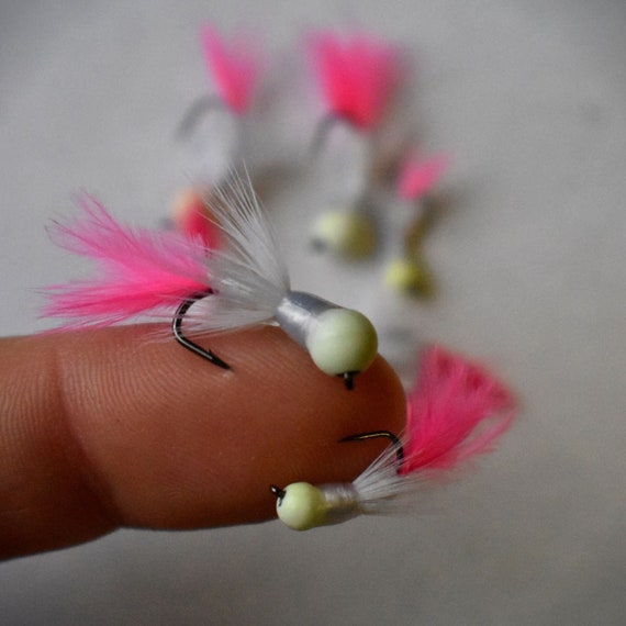 Kenders 4 Pack White/pink Glow Bead Tungsten Akua Jig FLARE Panfishing Jigs  