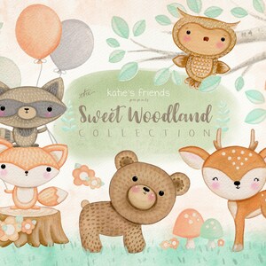 May include: A set of watercolor illustrations featuring woodland animals, including a raccoon, fox, bear, and deer. The illustrations are in a cute, cartoon style and are perfect for use in digital scrapbooking, card making, or other craft projects. The text "Sweet Woodland Collection" is also included in the image.