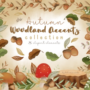 Clipart de bellota, Clipart de paisaje de bosque, Hojas de otoño, Hongos, Tocón, Ilustraciones de bosque dibujadas a mano