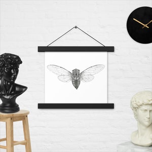 Cicada With Hangers