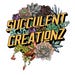 Succulent Creationz