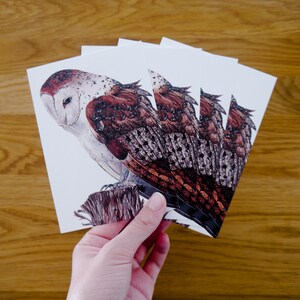 Four barn owls postcards Pario DIN A6 Postcard set with a drawing of a barn owl on a tree stump image 1