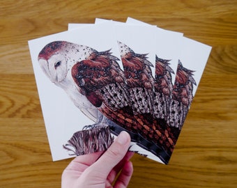 Four barn owls postcards "Pario" • DIN A6 • Postcard set with a drawing of a barn owl on a tree stump