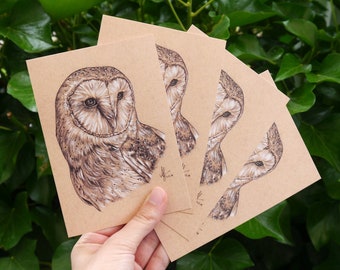 Four barn owls postcards "Rico" • DIN A6 • Postcard set with drawing of a barn owl