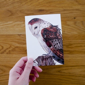 Four barn owls postcards Pario DIN A6 Postcard set with a drawing of a barn owl on a tree stump image 4