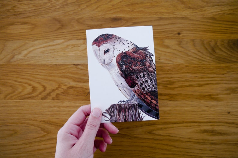 Four barn owls postcards Pario DIN A6 Postcard set with a drawing of a barn owl on a tree stump image 4