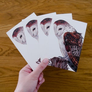 Four barn owls postcards Pario DIN A6 Postcard set with a drawing of a barn owl on a tree stump image 3