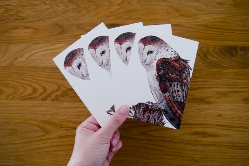 Four barn owls postcards Pario DIN A6 Postcard set with a drawing of a barn owl on a tree stump image 3