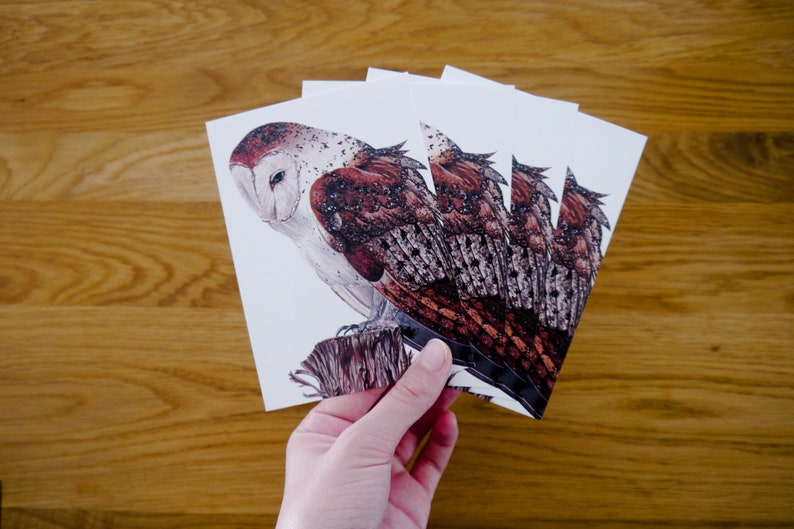 Four barn owls postcards Pario DIN A6 Postcard set with a drawing of a barn owl on a tree stump image 1