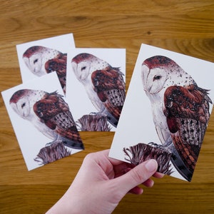 Four barn owls postcards Pario DIN A6 Postcard set with a drawing of a barn owl on a tree stump image 2