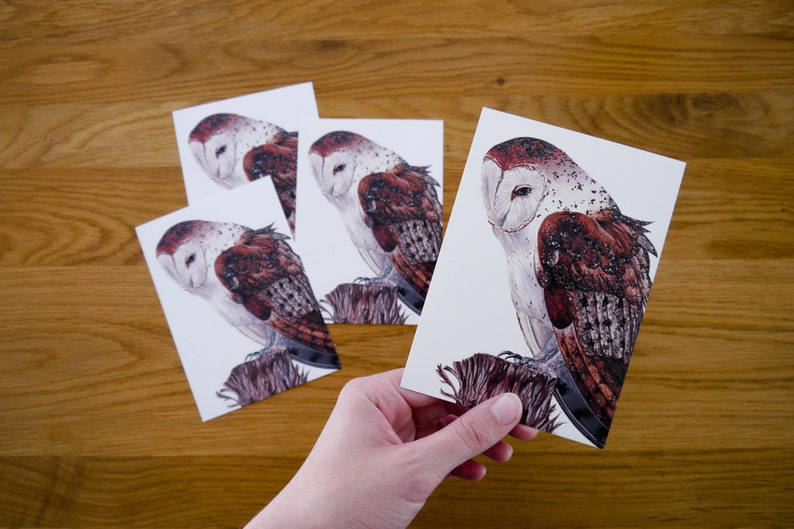 Four barn owls postcards Pario DIN A6 Postcard set with a drawing of a barn owl on a tree stump image 2