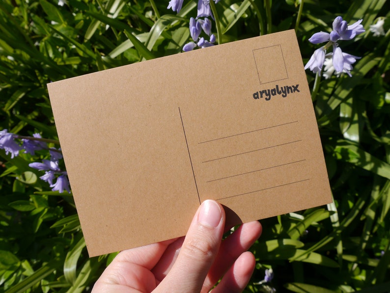 Carte postale en carton kraft hibou avec lettre, imprimée à la main DIN A6 image 5