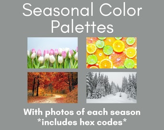 Colección de paletas de colores estéticos para marcas DIY, paleta de colores naturales, combinación de colores, referencia de colores, muestras de colores, colores de sitios web