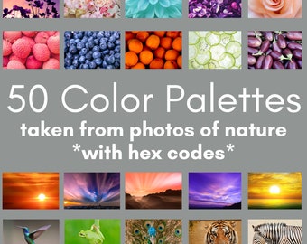 Nature's Rainbow: 50 Inspirational Color Swatches, nature color palette, color guide, color inspiration, color palette, color swatches