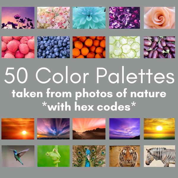 50 Nature Inspired Color Palettes, palette organizer, branding palette, bold color palette, bright color palette, color pop palette