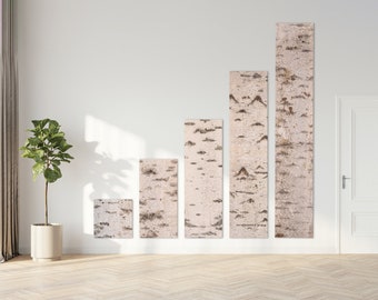 Birch bark on wall panels