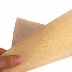 Carta di corteccia di betulla per progetti di scrittura e artistici