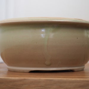 May include: A round, ceramic planter with a light green and tan glaze. The planter has a wide, shallow bowl shape with a slightly flared rim. The exterior has a smooth, glossy finish, and it sits on a low, flat base.