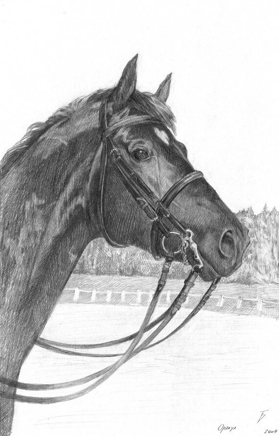 Cheval Crayon Dessin Dessin Imprime Orakoule Cheval Copie Etsy