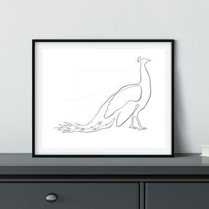 Minimalist Peacock One Line Drawing