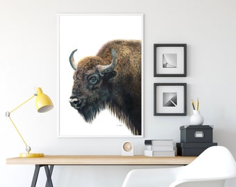 Può includere: Una stampa incorniciata di un disegno a matita dettagliato di un bisonte marrone su sfondo bianco.