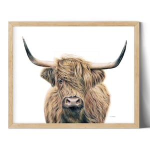 Highland Cow Modern Colored Pencil Drawing Print