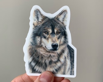 STICKER Wolf Colored Pencil Drawing