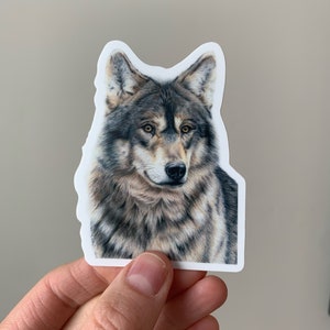 STICKER Wolf Colored Pencil Drawing