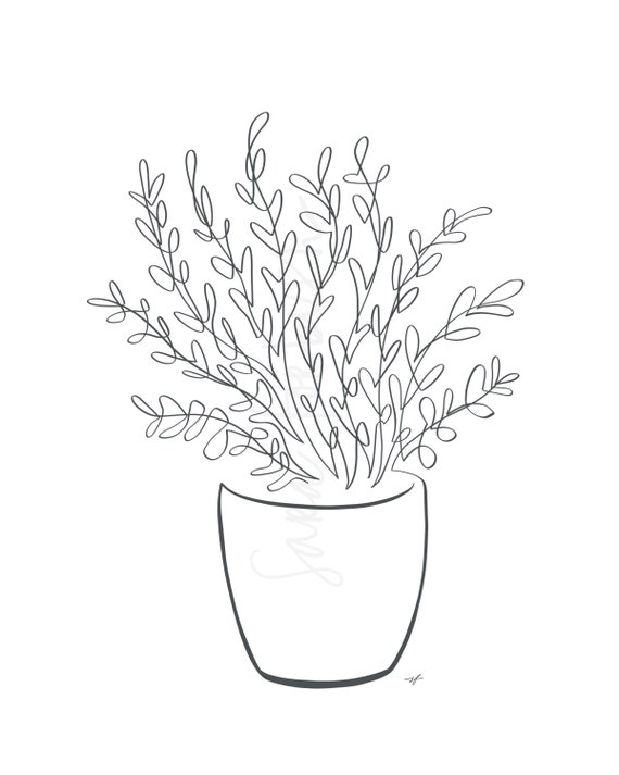 potted plant drawing