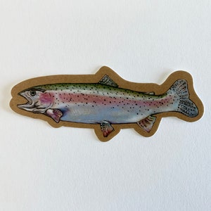 Rainbow Trout Fish Sticker