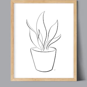 Snake Plant Laurent Potted Plant One Line Drawing, digital download