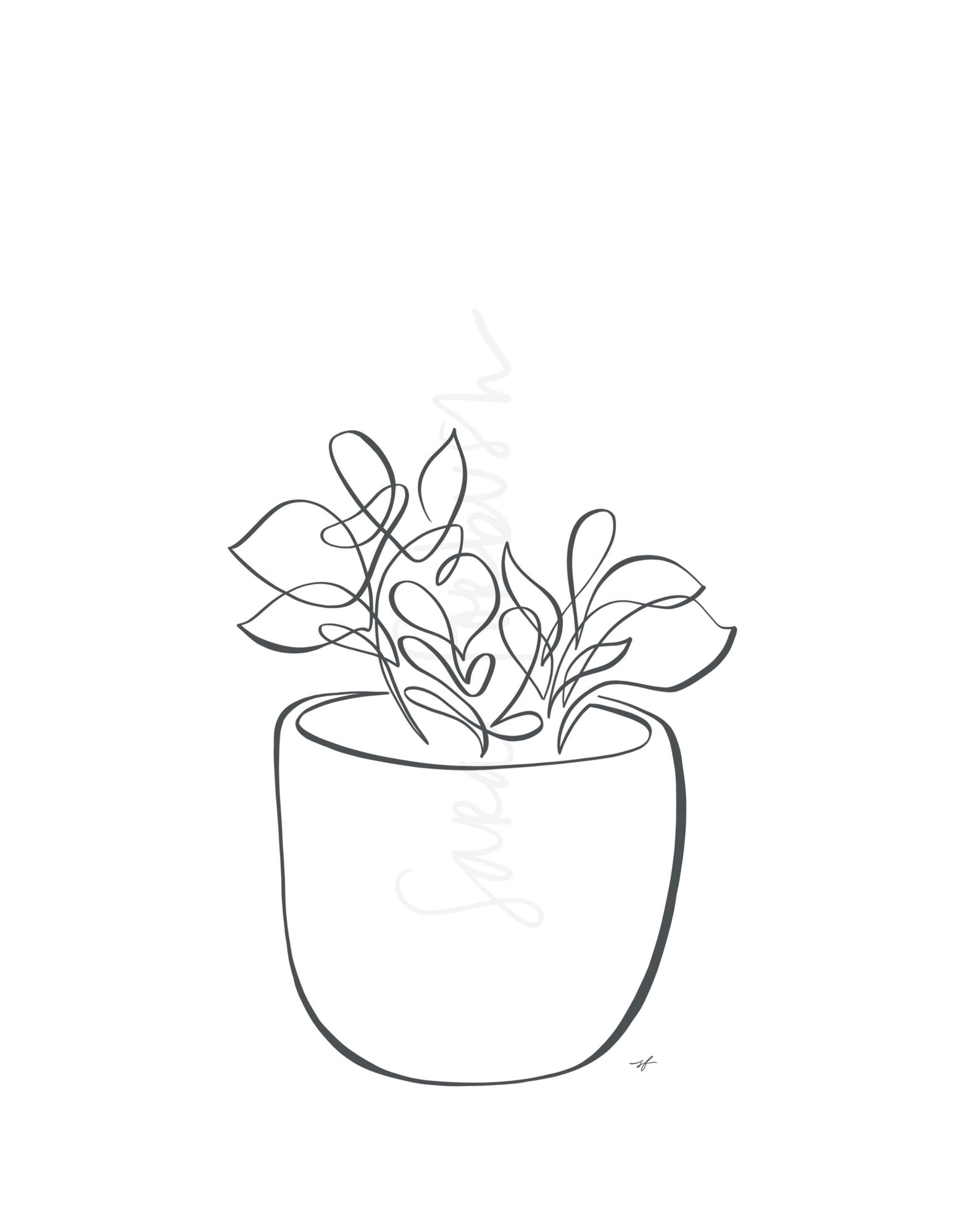 Baby Rubber Plant Potted Plant One Line Drawing digital Etsy