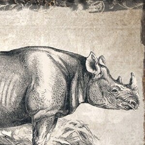 Vintage look animals - printables - 5 x 8 - 300 dpi bundle