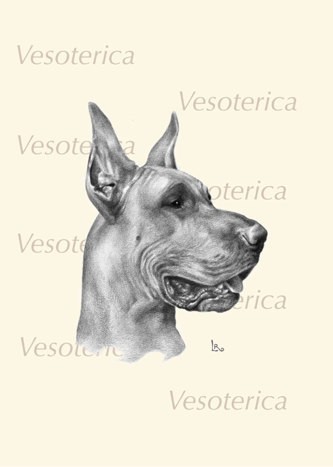 Printable Great Dane Dog Digital Image Pet Animal Download Graphic ...