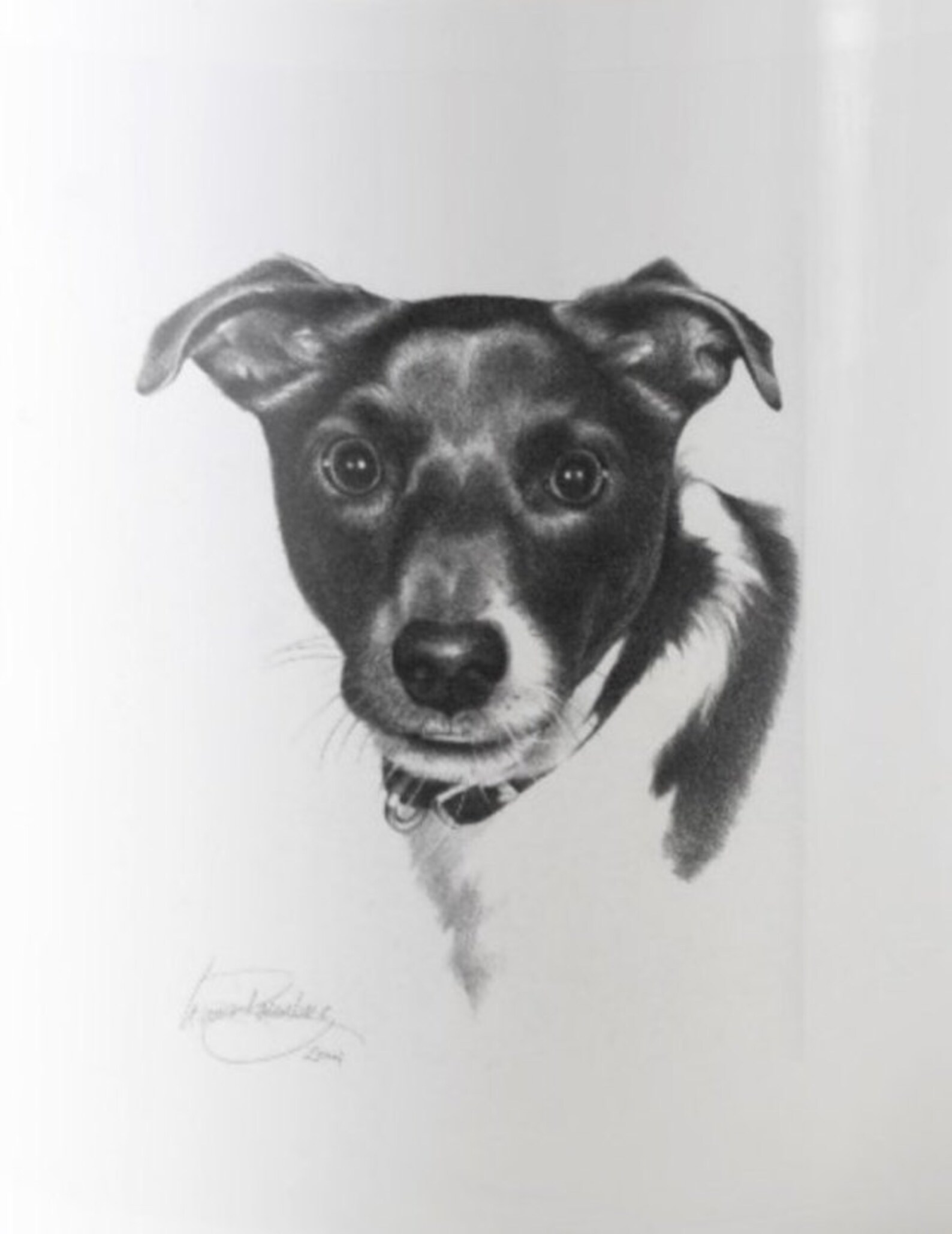 Printable Jack Russell Terrier Dog Digital Image Pet Animal Download ...