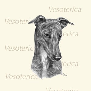 Printable Greyhound Dog Digital Image Pet Animal Download Graphic Original Portrait Grayhound Printable The Dog Watcher image 5