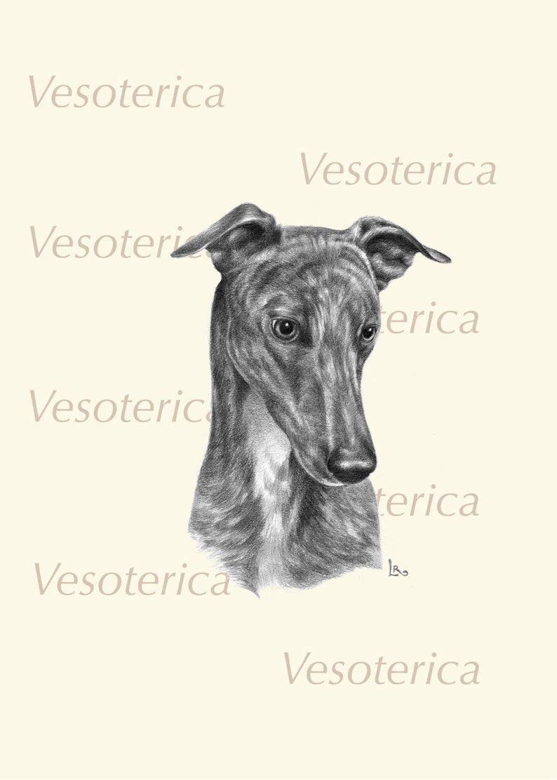 Printable Greyhound Dog Digital Image Pet Animal Download Graphic Original Portrait Grayhound Printable The Dog Watcher image 5