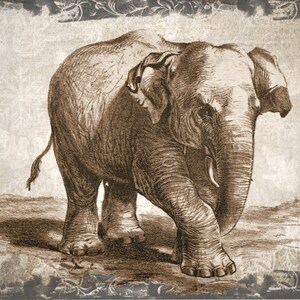 Digital download vintage look elephant