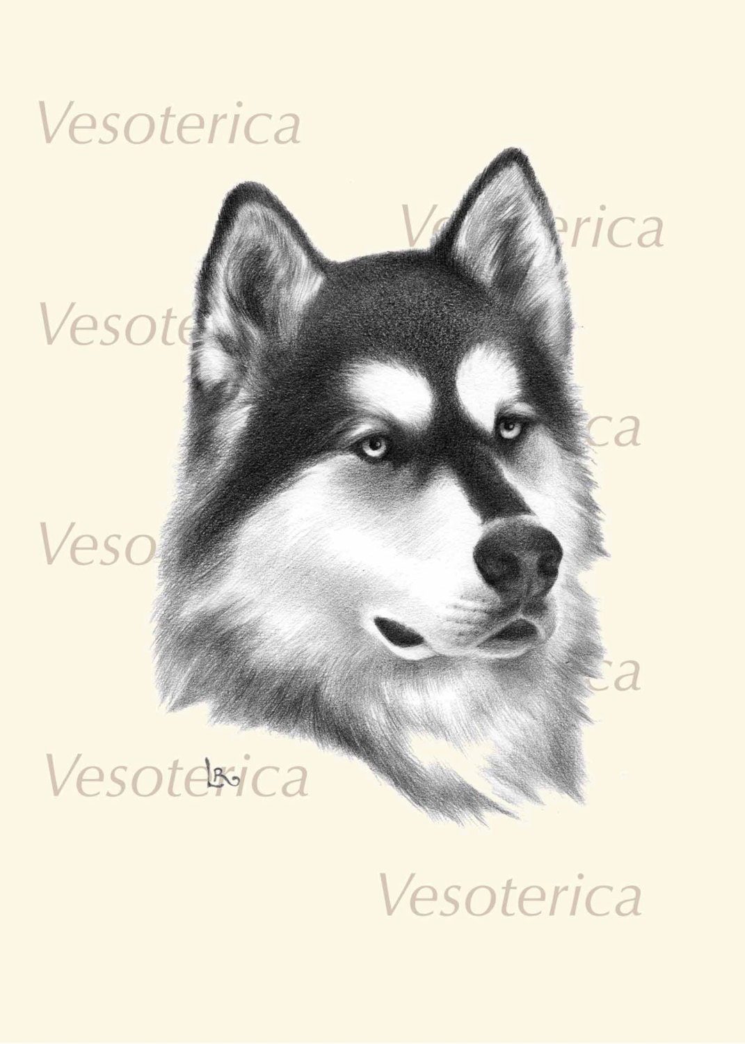 Printable Siberian Husky Dog Digital Image Pet Animal Download Graphic ...