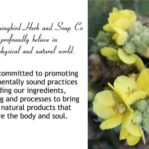 Hummingbird Soap Co - Hummingbird Herb and Soap Co - Committed to promoting environmentally sound practices including ingredients, packaging, and processes to bring  you all natural products that nurture body and soul.