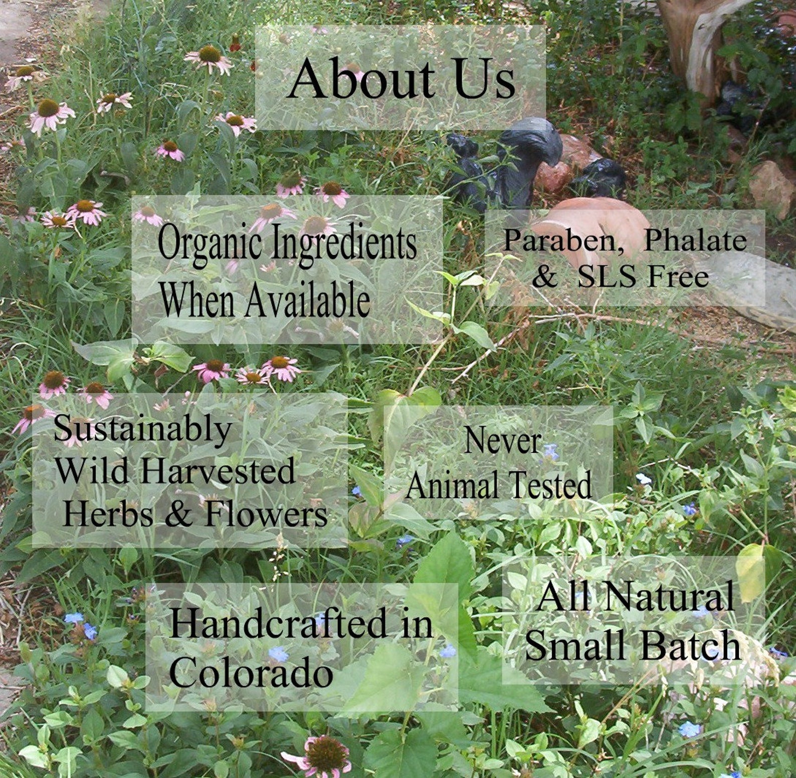 Muscle Joint Natural Pain Relief Lotion Bar Balm of Gilead Etsy