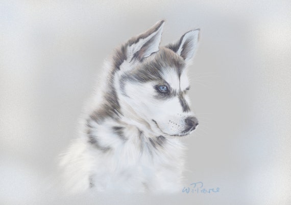 husky painting